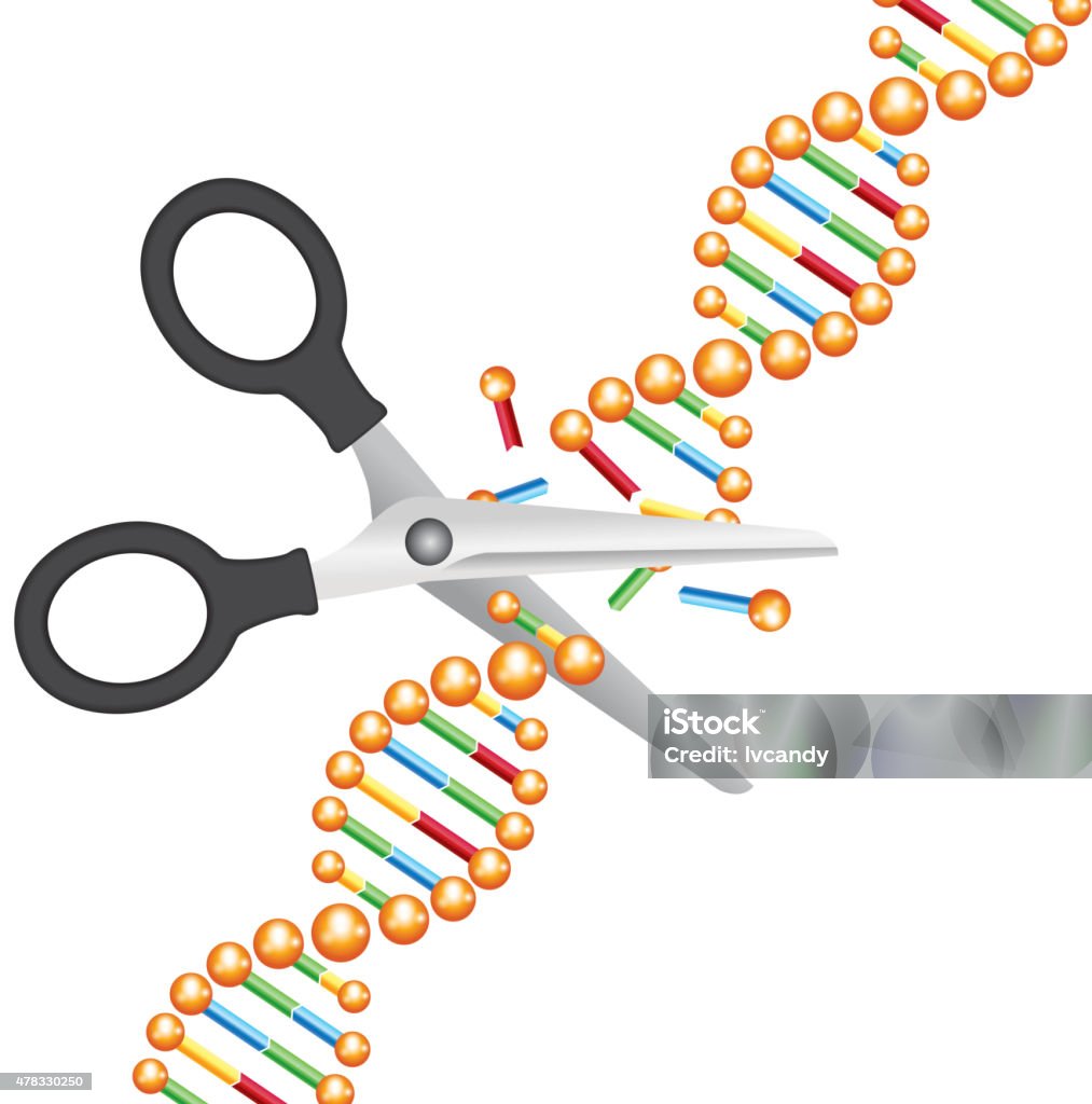 Cắt Dna Hình minh họa Sẵn có - Tải xuống Hình ảnh Ngay bây giờ ...