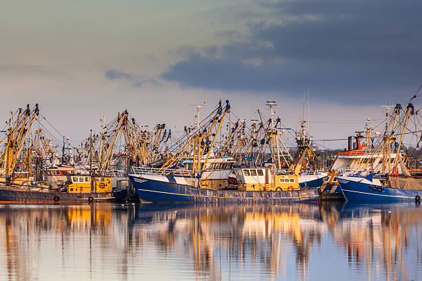 niederländische fischereiflotte während majestätischen sonnenuntergang - cockle nature outdoors horizontal stock-fotos und bilder