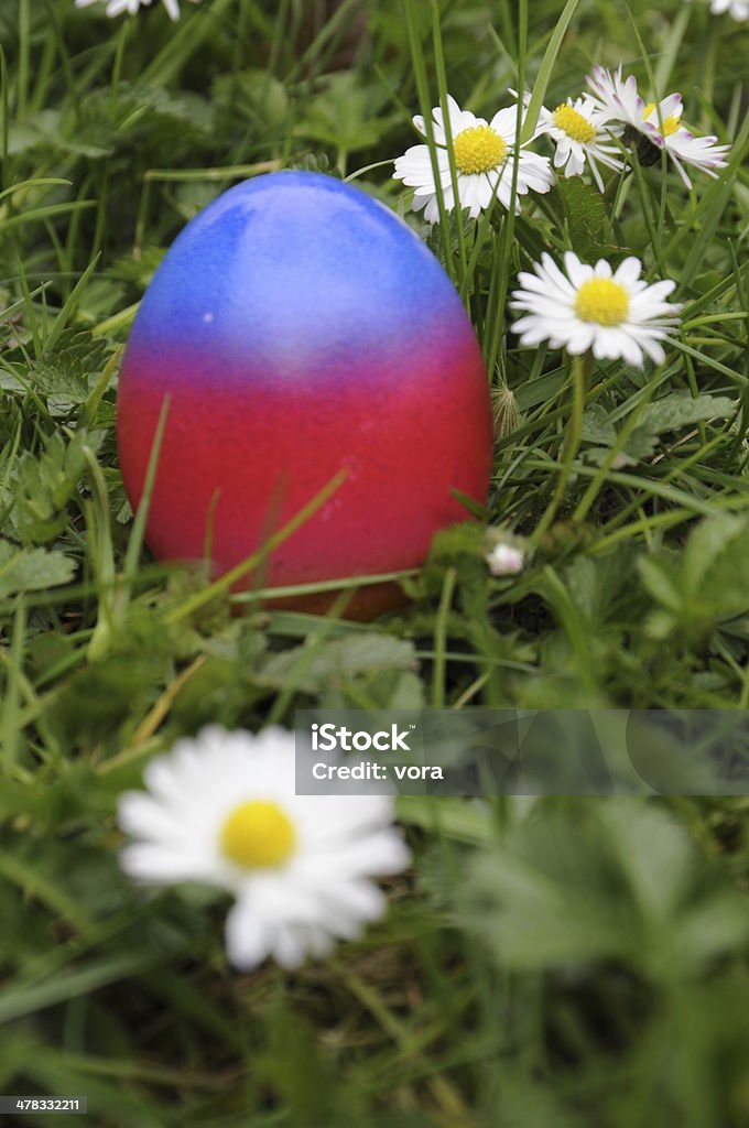 Oeuf de Pâques - Photo de Couleur libre de droits