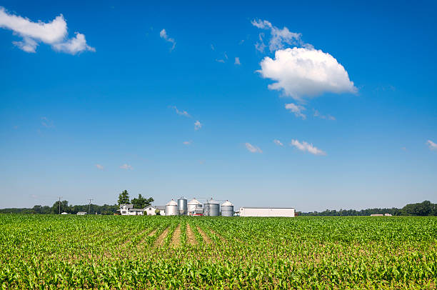 istock American countryside farm 478332477