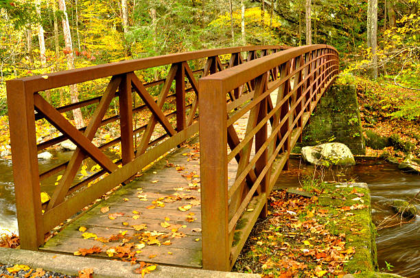 istock Metal bridge crossing a stream in the fall. 478333459