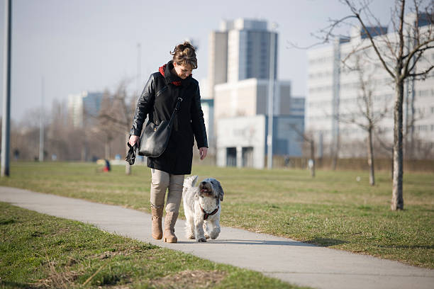 istock woman with dog on a way 478333954