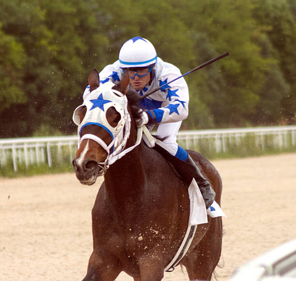 course de chevaux - horse horse racing animal head horseracing track photos et images de collection