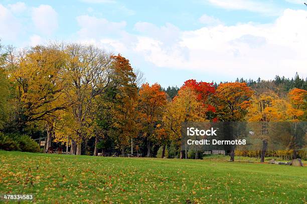 Photo libre de droit de Automne Marchez À Travers Les Montagnes De Sumava banque d'images et plus d'images libres de droit de Arbre - Arbre, Automne, Beauté