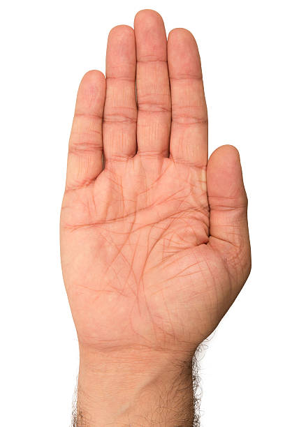 istock Palm side of hand on white background 478335053