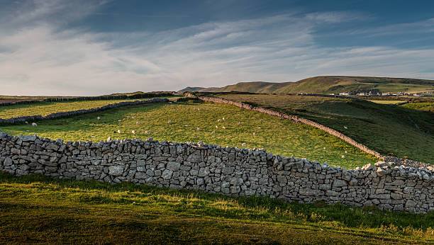 istock Dry stone wall at Rhossili 478336116