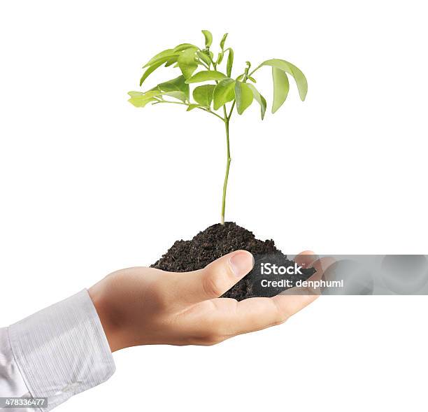 Sosteniendo Una Planta Foto de stock y más banco de imágenes de Agarrar - Agarrar, Agricultura, Aire libre