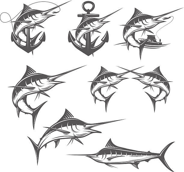 ilustrações de stock, clip art, desenhos animados e ícones de conjunto de emblemas de espadim pesca, emblemas e elementos de design - swordfish