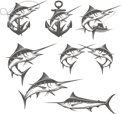 Set of marlin fishing emblems, badges and design elements.