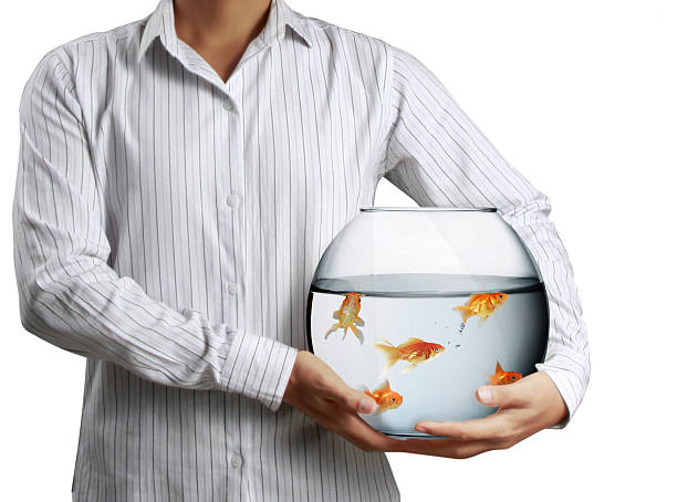 istock Business man with goldfishes 478339665