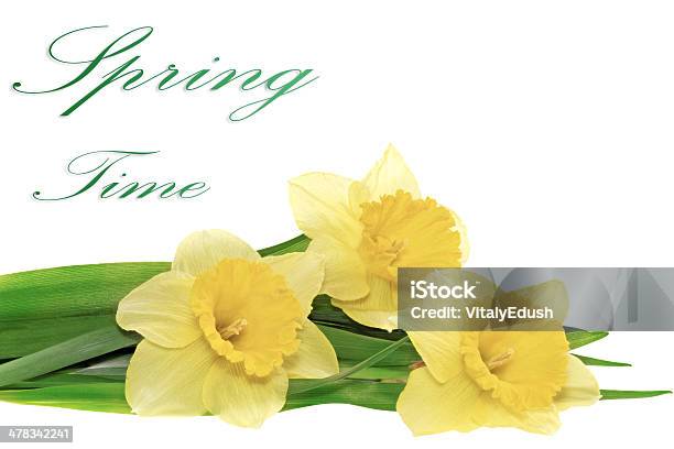 Schönen Frühling Drei Blumen Gelbe Narcissus Stockfoto und mehr Bilder von April
