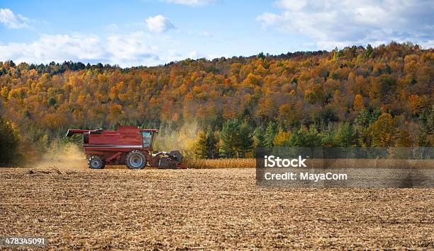 Combine Harvesting Stock Photo - Download Image Now - Quebec, Harvesting, Agricultural Field