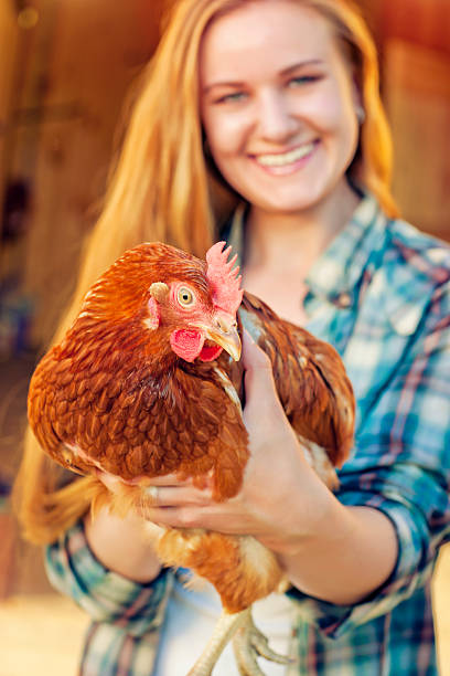 istock Young woman and hen 478345402