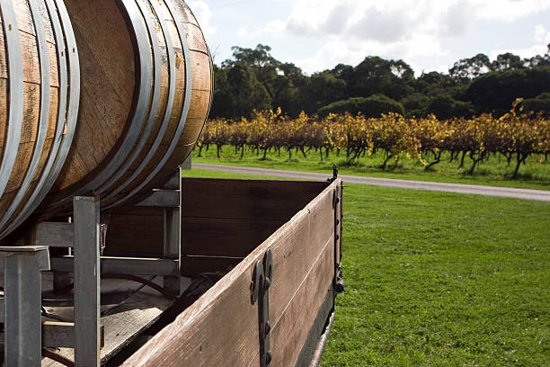 Old wooden barrel in vineyard, Australia