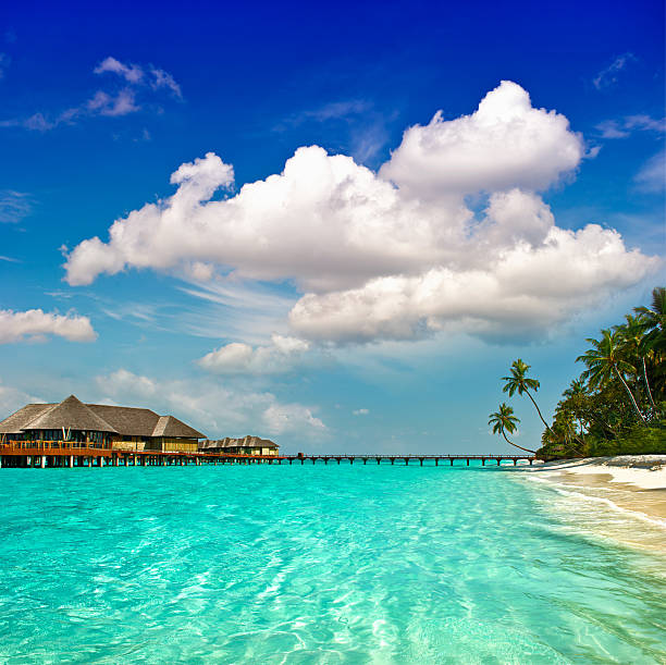 istock paradise island landscape. palm beach 478349447