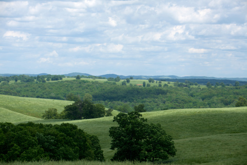 The rolling hills of the Ozarks in Missouri.