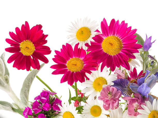 istock Field bouquet of bright summer 478351972