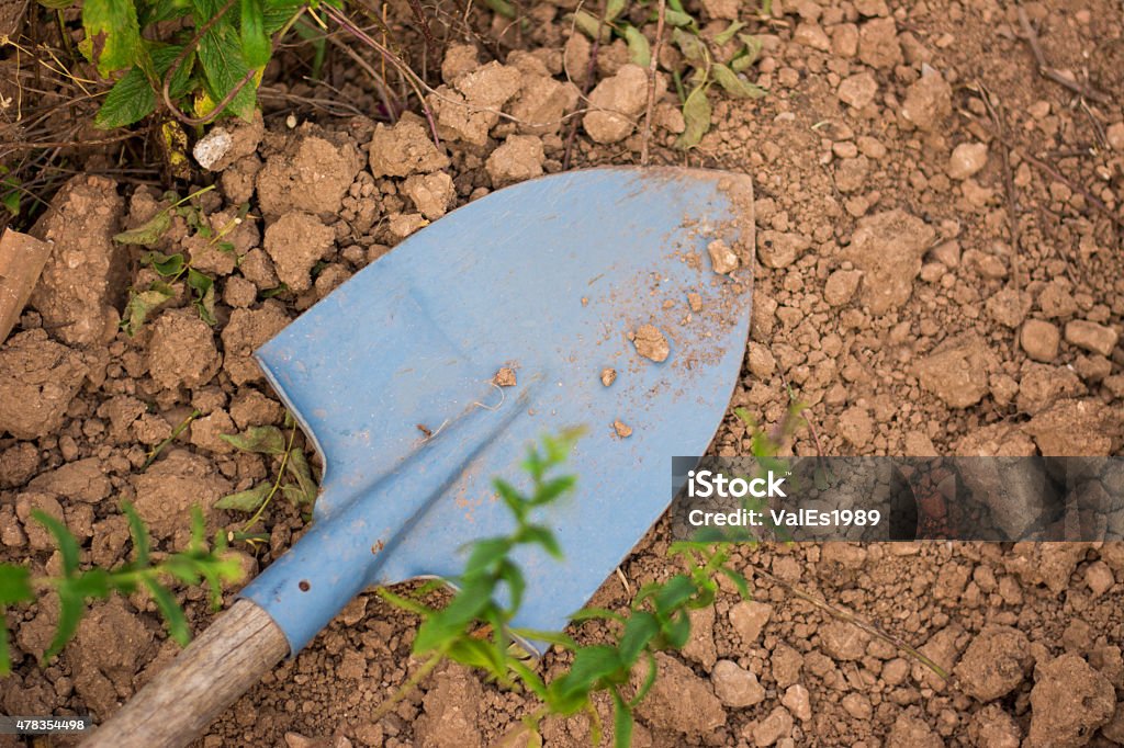 Shovel on the ground View of a blue shovel put on the ground. 2015 Stock Photo