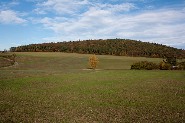 autumn hill stock photo