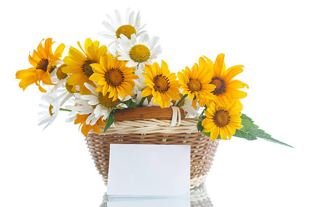 istock bouquet of yellow and white daisies 478364076