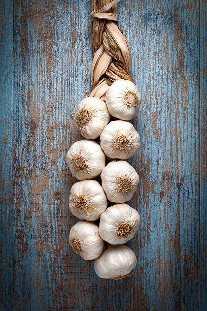 garlics - garlic hanging string vegetable fotografías e imágenes de stock