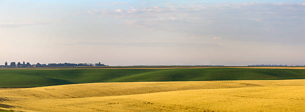 istock Morning in the farmland 478372352
