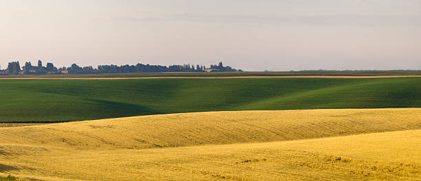 istock Morning in the farmland 478372356