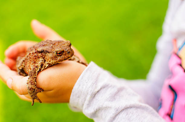 istock girl with a frog 478374176