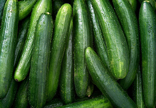 pepino de fondo - pepino fotografías e imágenes de stock