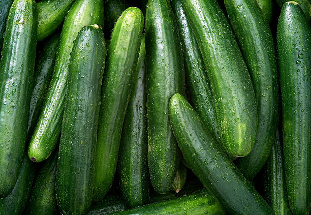 Cucumber background Cucumber Raw fruit and vegetable backgrounds overhead perspective, part of a set collection of healthy organic fresh produce cucumber stock pictures, royalty-free photos & images