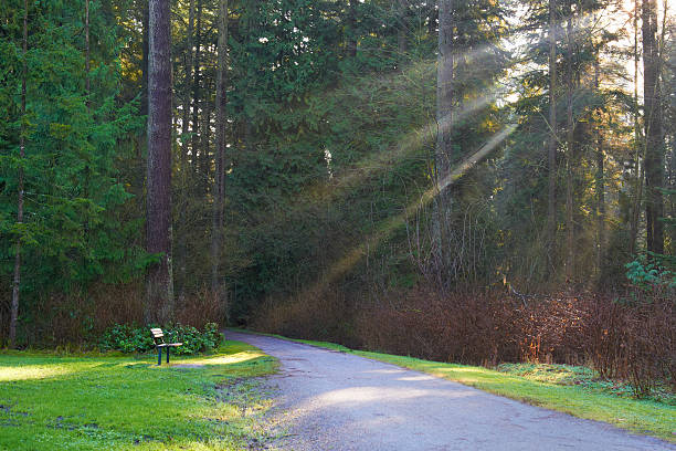 istock Road in the green park 478379266