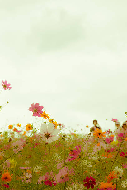 istock People who are looking at the cosmos 478380496
