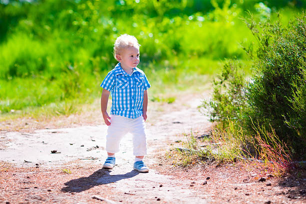 istock Little boy hiking in a forest 478380552