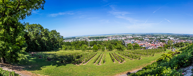 panorama of Bad Nauheim from the hills with vineyard