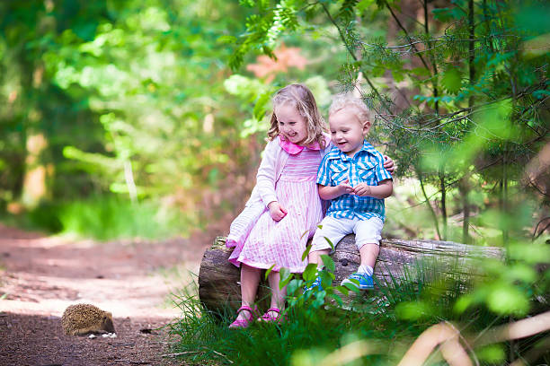 istock Kids watching a hedgehog in the forest 478381542