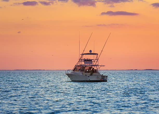 miami de barco ao pôr-do-sol - yacht florida yachting nautical vessel - fotografias e filmes do acervo