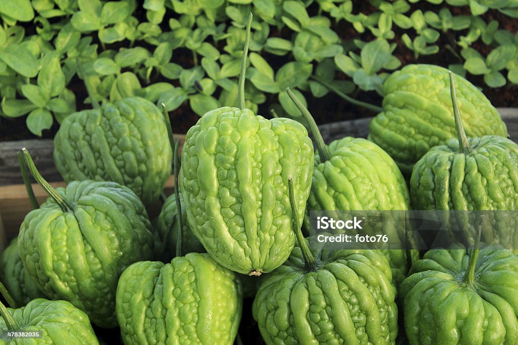 Bitter melon Agriculture Stock Photo