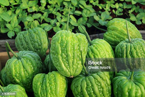 Bitter Melon Stock Photo - Download Image Now - Agriculture, Arrangement, Asia