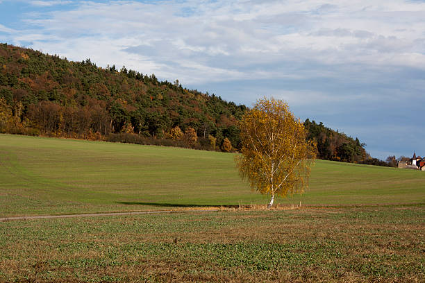 autumn hill stock photo