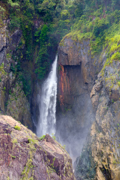 barron falls desbordamiento, kuranda, queensland, australia - cairns monsoon queensland waterfall fotografías e imágenes de stock