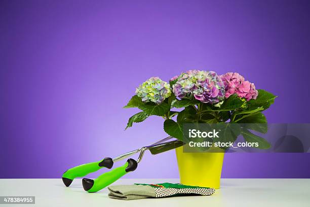 Gardening Stock Photo - Download Image Now - Color Image, Colored Background, Cut Out