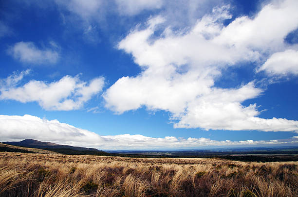 Taranaki, New Zealand