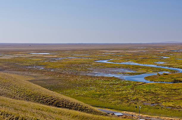 istock Grassland and wetland 478385934