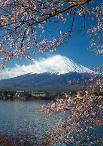 Mount Fuji and Cherry Blossom, Japan