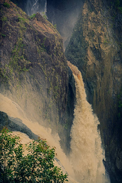 barron quedas, kuranda, queensland, na austrália em estilo antigo - cairns monsoon queensland waterfall imagens e fotografias de stock