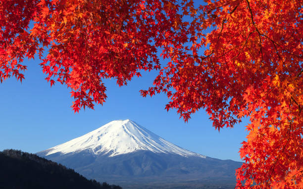 Mt.Fuji in Autumn, Japan