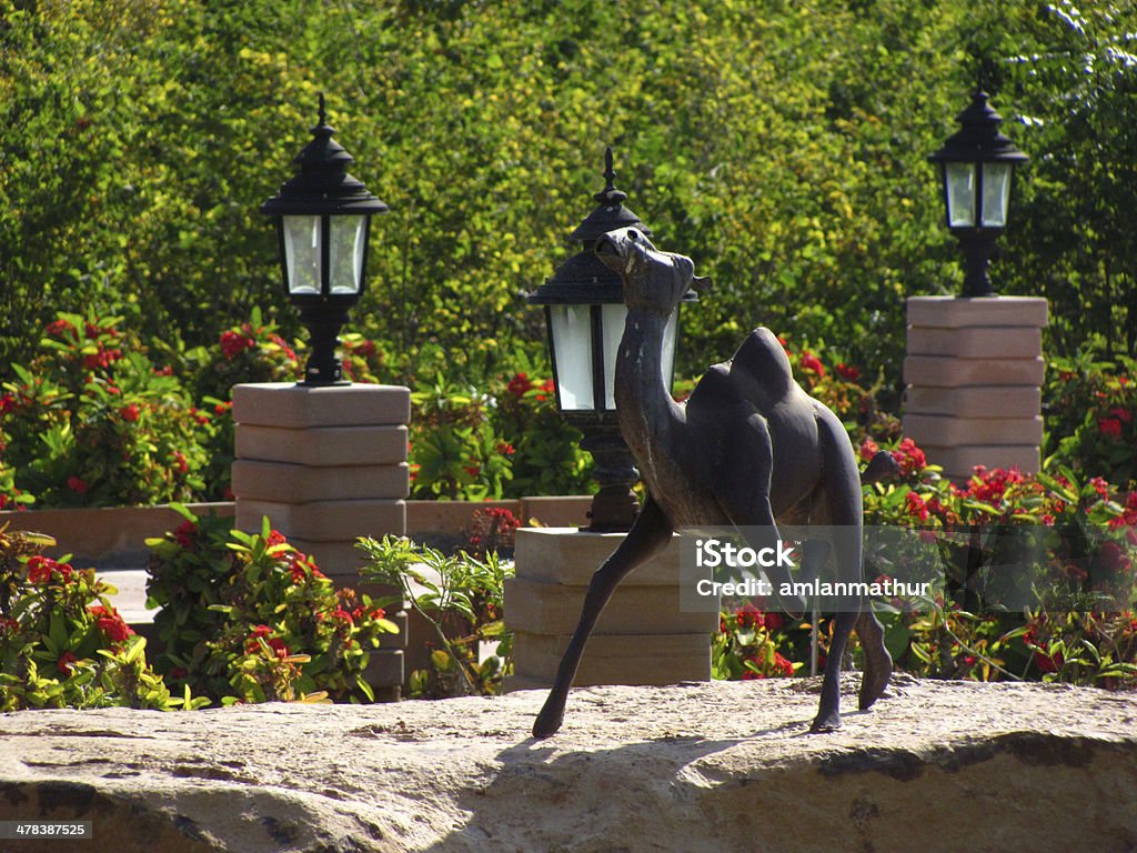 Camelo no Jardim de Pedra - Royalty-free Acender Foto de stock
