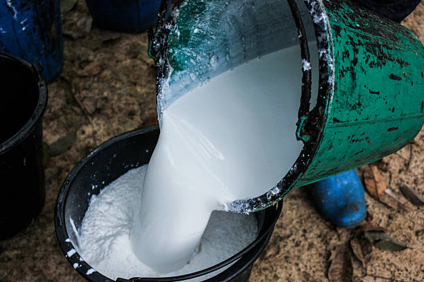 istock gardener rubber harvest white water 478389825