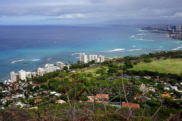 istock Top of Diamond Head Crater in Honolulu 478390980