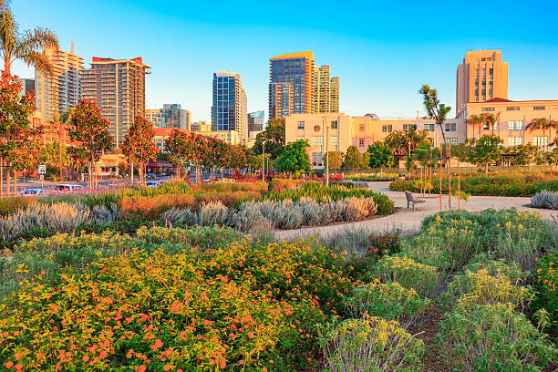 istock Skyscrapers of San Diego Skyline at dusk, CA 478394852